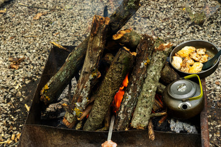 A cast-iron frying pan with chicken meat stands over a fire on a metal grate. Cooking food on an open fire. Delicious food on a camping trip and on a picnic.の写真素材