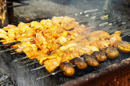 Delicious, alluring, marinated chicken fillet kebabs with large onion rings on skewers are fried on the grill. Picnic and BBQ in summer forest on nature.の写真素材