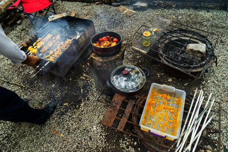 Delicious, alluring, marinated chicken fillet kebabs with large onion rings on skewers are fried on the grill. Picnic and BBQ in summer forest on nature.の写真素材