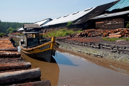 Charcoal factoryのeditorial素材