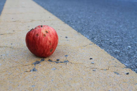 Red appleの写真素材