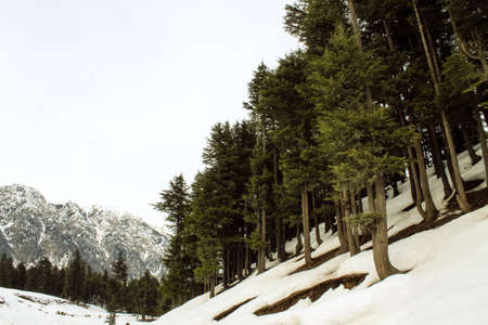 Malam Jabba and Kalam Swat Scenery Landscape
