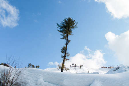 Malam Jabba and Kalam Swat Scenery Landscapeの写真素材