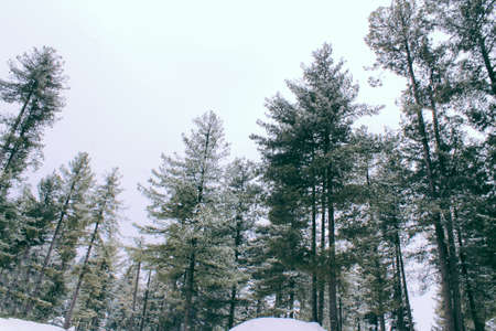 Malam Jabba and Kalam Swat Scenery Landscape
