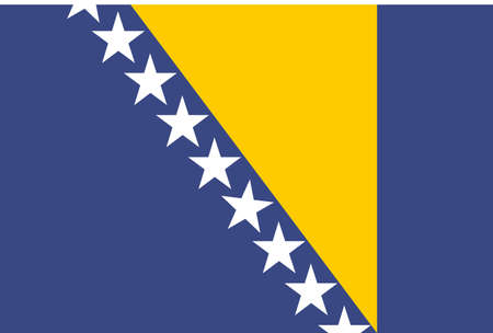 National Flagのイラスト素材