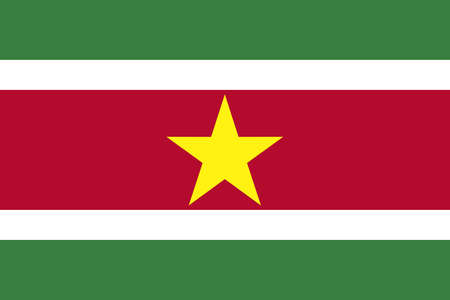 National Flagのイラスト素材