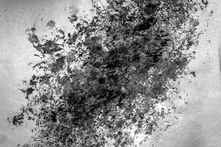 Black and white, greyscale, monochrome, Hand painted Watercolor Backgroundsの写真素材