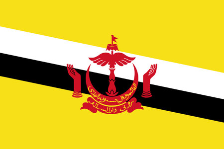 Brunei  flag Flat Icon pictogram symbol visual illustrationのイラスト素材