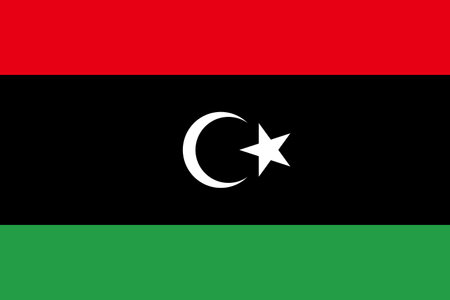 Libya flag Flat Icon pictogram symbol visual illustrationのイラスト素材