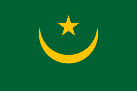 Mauritania flag Flat Icon pictogram symbol visual illustrationのイラスト素材