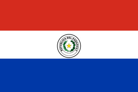 Paraguay flag Flat Icon pictogram symbol visual illustrationのイラスト素材