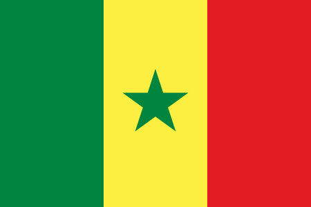 Senegal flag Flat Icon pictogram symbol visual illustrationのイラスト素材
