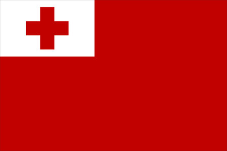 Tonga flag Flat Icon pictogram symbol visual illustrationのイラスト素材
