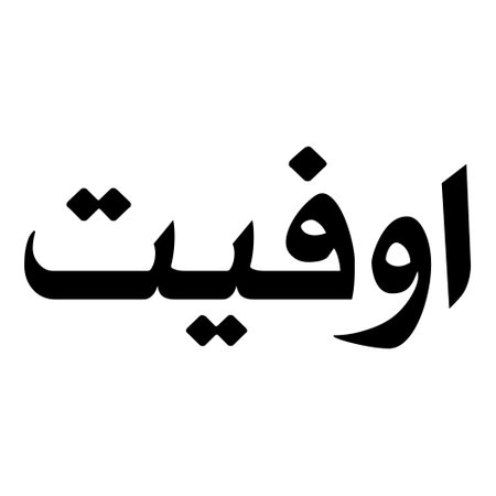 Muslim Girl Name Sulus Font Arabic Calligraphy, boy Name, Muslim Girls Name Naskh Font Arabic Calligraphy, Muslim Girls Name Najd Font Arabic Calligraphy and typography islamic boys name, muslim kids name, urdu name, persian names, arabic names, hand writen, handmade, for printing publishing vector graphics,のイラスト素材