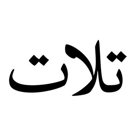 male name, boys name, muslim boy name, Nasakh font typography, arabic calligraphy, naskh font, boy name, najd font, islamic boys name, muslim kids name, urdu name, persian names, arabic names, handwritten, printing publishing, vector graphics, typography design, islamic names, arabic script, elegant calligraphy, cultural heritage, custom typography, persian font, islamic culture, creative design, personalized names, t shirts printing media, arabic alphabet, mug printing lettering, name art, traditional script, religious names, islamic typography, custom handwriting, cultural diversity, arabic characters, personalized design, ethnic names, islamic heritage, children's names, persian typography, artistic typography, handcrafted names, islamic art, custom lettering, arabic writing, digital ebook, website app usage, handwritten calligraphy, handmade writing, cnc engraving cuttingのイラスト素材