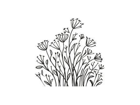 Hand drawn wildflowers. Vector illustration. Isolated on white background.のイラスト素材