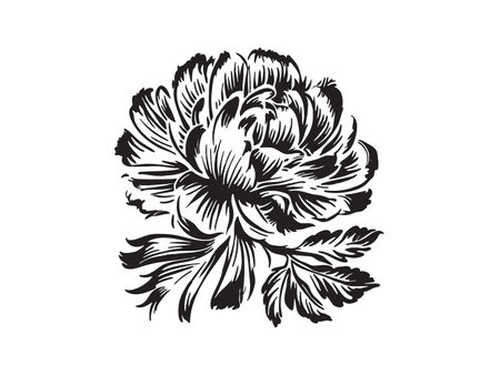 Peony flower. Black and white vector illustration isolated on white backgroundのイラスト素材