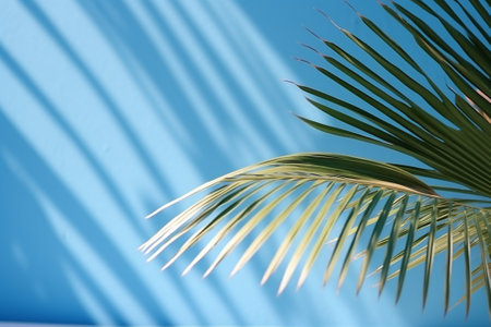 Palm leaves on a blue background. Selective focus.の素材