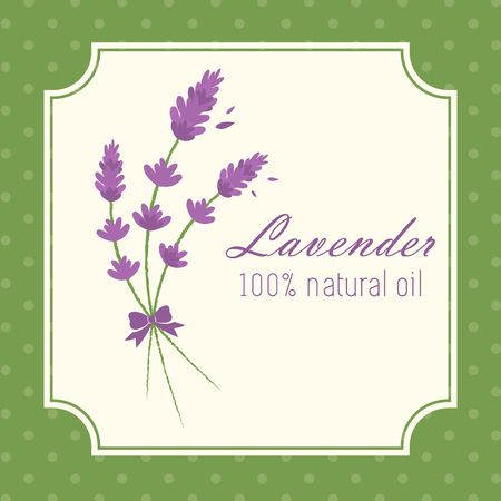 Lavender Round Sticker Vintage Vector Illustration with Ribbon on Dotted Backgroundのイラスト素材