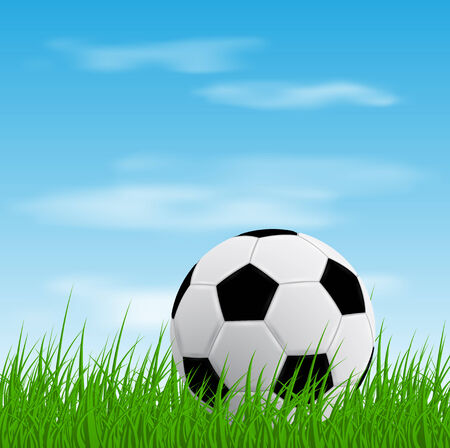 picture of a soccer ball on grassのイラスト素材