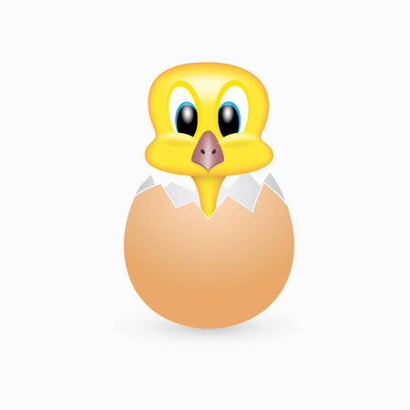 picture of a chicken in the shellのイラスト素材