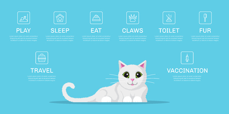 Picture of cute cat with icons of cat needs. Infographic template for pet shop, website, brochure design. Flat style illustration.のイラスト素材