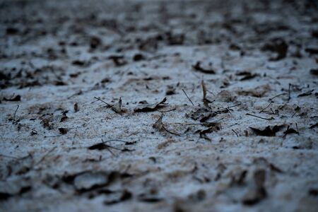 Winter abstract texture close up of frozen sand with old leaves covered with snow. Textures abstract backgroundの写真素材