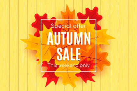 Autumn sale vector banner abstract background design with fall leaves, autumn typography and discount text. Vector illustration.のイラスト素材