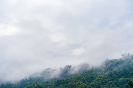 Hills with jungle in Nepal, covered with fog. Landscape with tropical rainforest. Reference image...