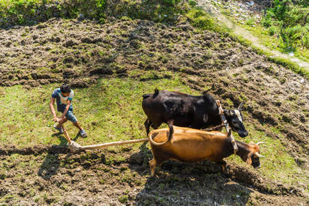 Nepal, Pokhara, Sedi-Bagar village - April 2020: starting of sowing season in Nepal, a young man...