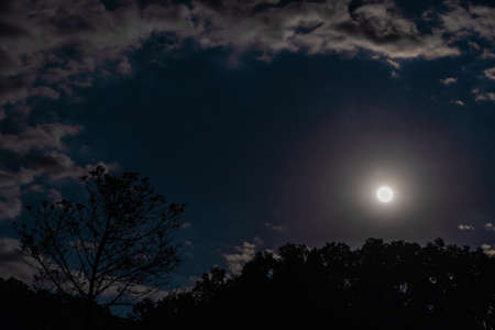 Moon and clound over the hill covered with jungle. Night shot. Stock photo.の写真素材