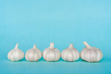 Group of fresh garlic heads on blue background in a row. Close up stock photosの写真素材