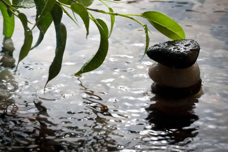 Green plant and pebbles with waterdrop and ripplesの写真素材
