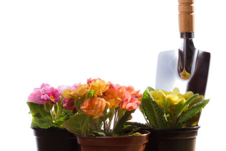 Shovel and cuttings on white backgroundの写真素材