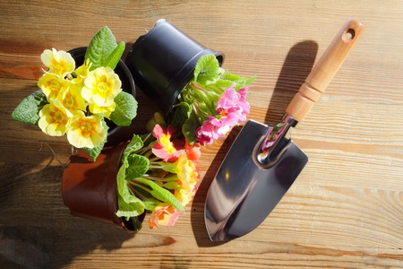 Shovel and cuttings on old wood plankの写真素材
