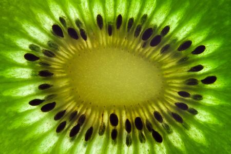 Kiwi fruitの写真素材