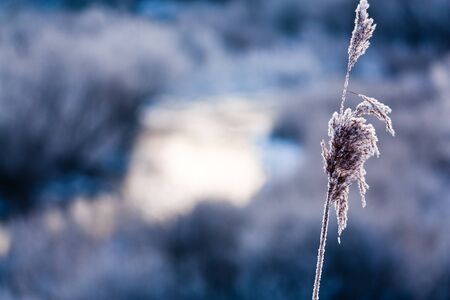 Frosen riverside in winter at sunriseの写真素材