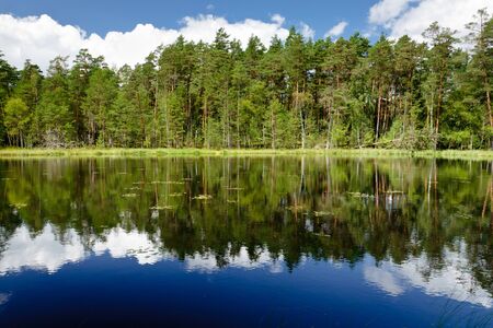 Summer Landscape in the national parkの写真素材