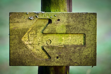 Green fork in the foothpathの写真素材