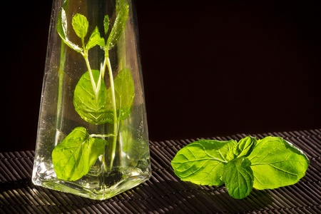 Fresh basil in bottle with vegetable oil