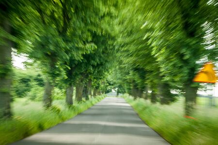 Abstract driving on forest roadの写真素材