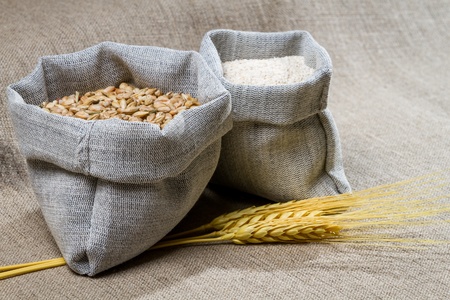 Closep canvas sack of seedの写真素材