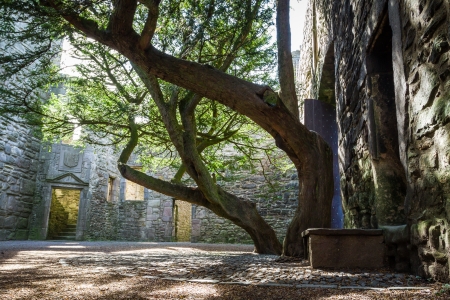 The entrance to the courtyard of a stone castleの写真素材