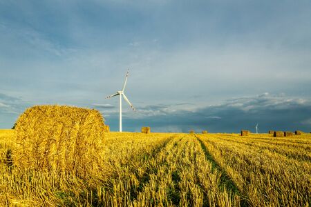Windmills at harvest timeの写真素材