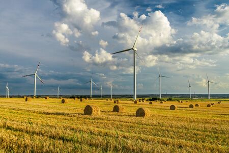 View of electric windmills in fieldの写真素材