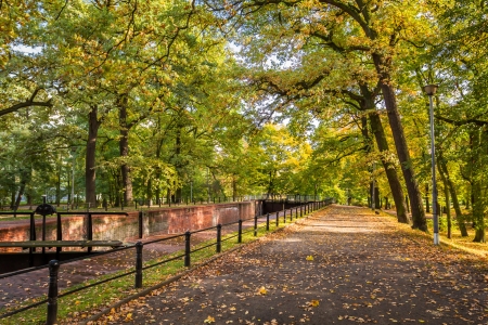 Footpath in park during the autumnの写真素材