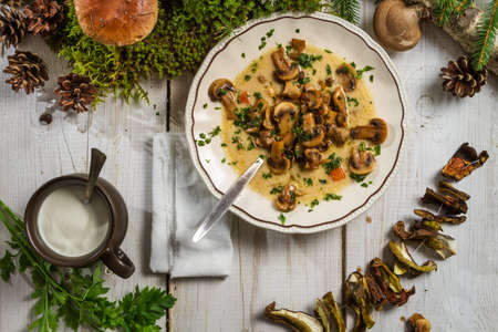 Soup made of wild mushroomsの写真素材