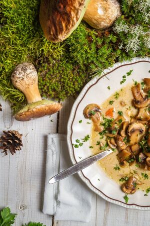 Freshly harvested mushrooms from the forest ingredients for soupの写真素材