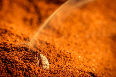 Roasted coffee beans on a brown backgroundの写真素材