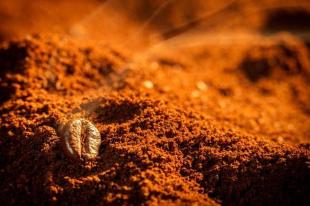 Closeup one coffee beans